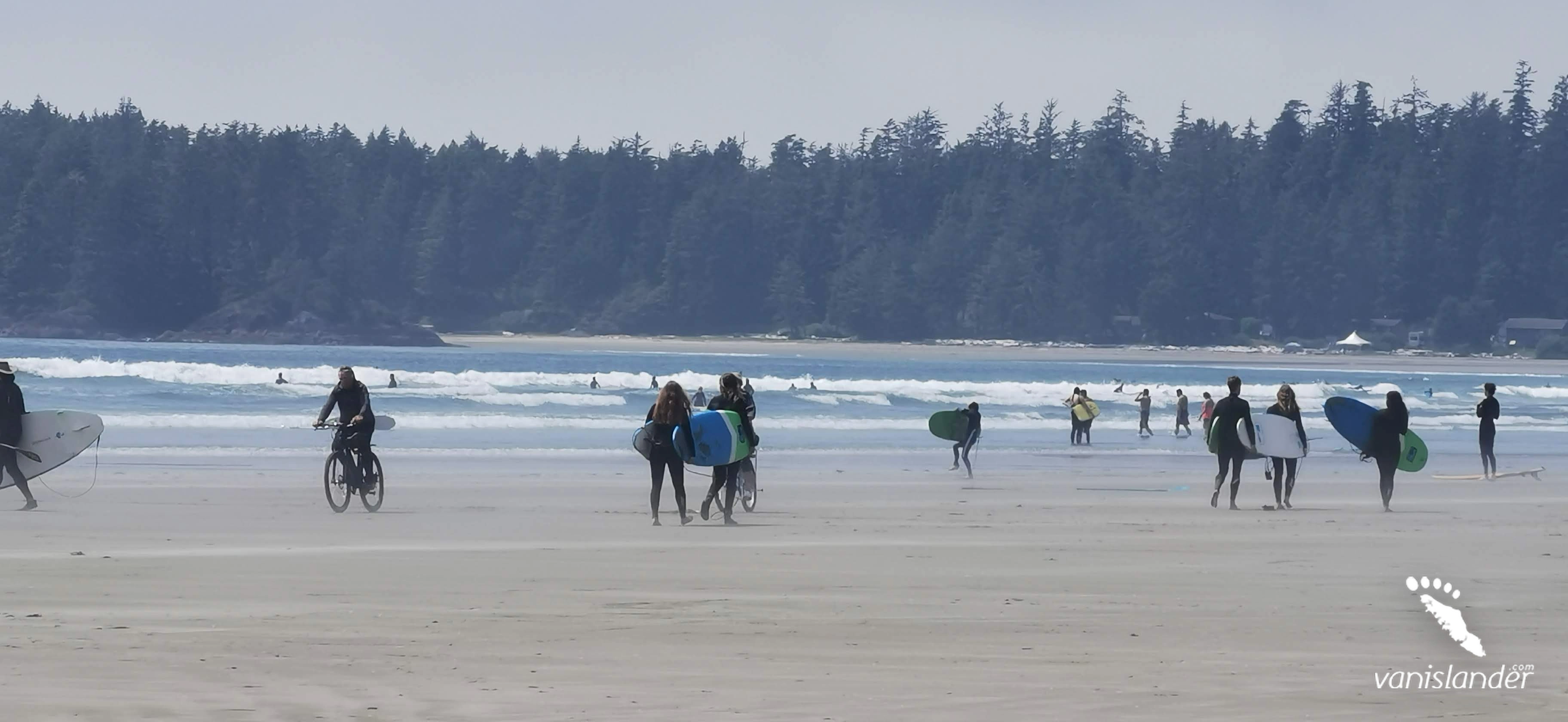 7-Day Vancouver Island Wildlife Watching Adventure Tour